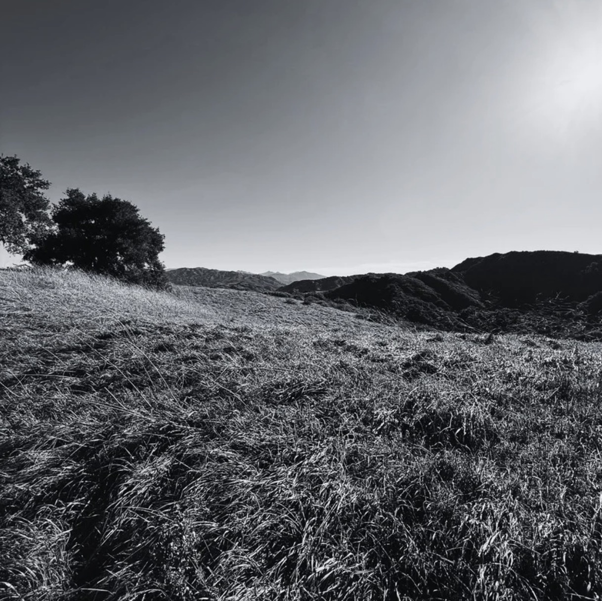 What is CountyLine? — photo 5